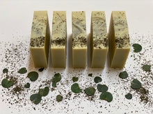 Load image into Gallery viewer, &quot;Eucalyptus Mint&quot; (Infused Eucalyptus/Peppermint Soap)
